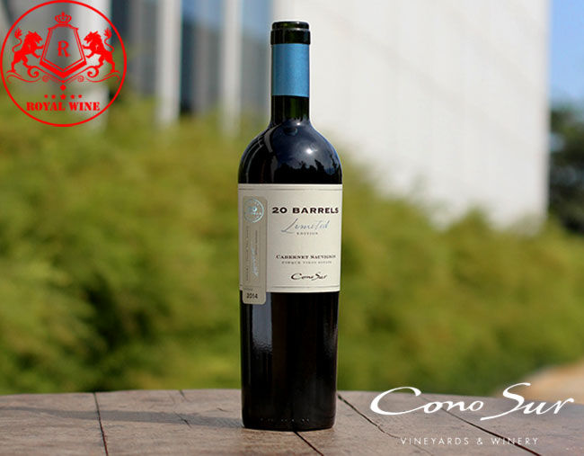 Ruou Vang Cono Sur 20 Barrel Cabernet Sauvignon 1