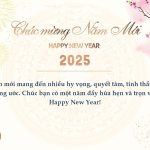 Tổng hợp những câu chúc tết Ất Tỵ 2025 hay ý nghĩa